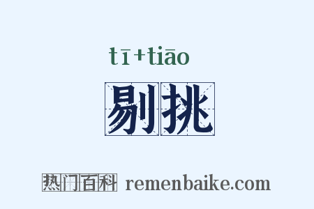 剔挑是什么意思的图片